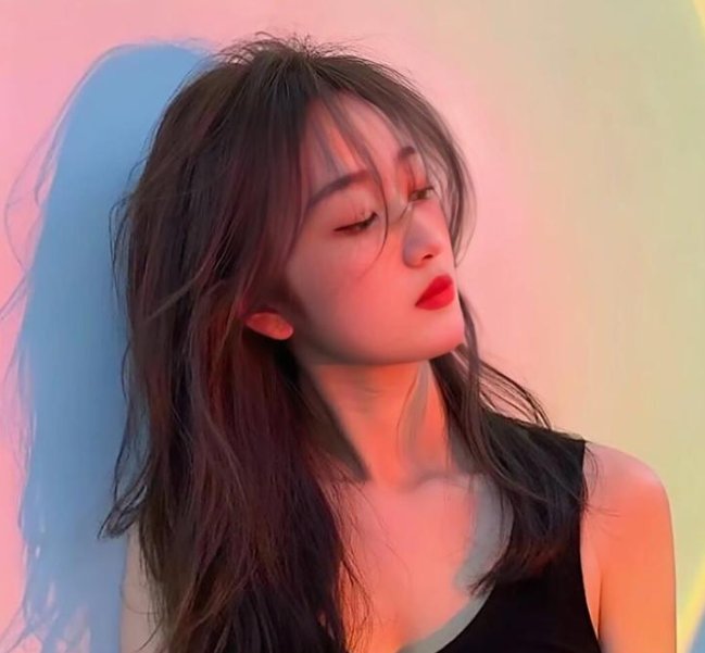 山有木兮木有心